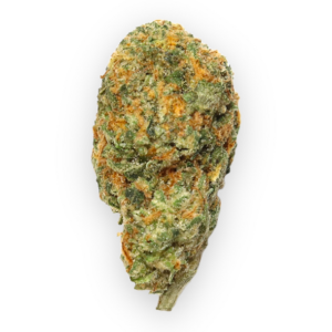 Buy Britscotti Online in the US