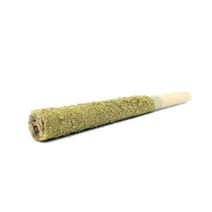 Buy Thunder Joint – Gassy Rockstar Online in the US